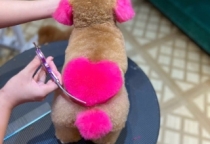 Khoá học chính cơ bản (Level C)