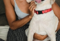 Chó mèo không nên ăn những gì?