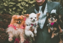 Phối giống thú cưng