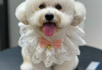 Cắt móng, mài móng