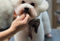 Khoá học nâng cao (Level B)