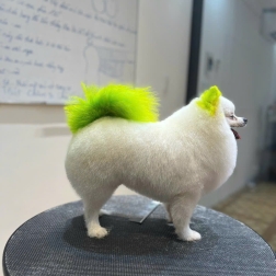 Cạo lông bàn chân, lông bụng, hậu môn