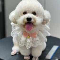 Cắt móng, mài móng