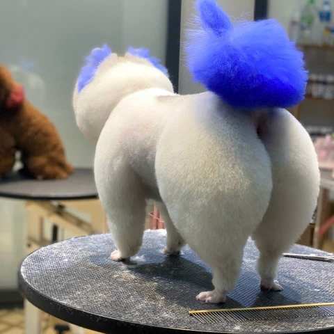 CÁC BÉ THÚ CƯNG NHÀ LÚA