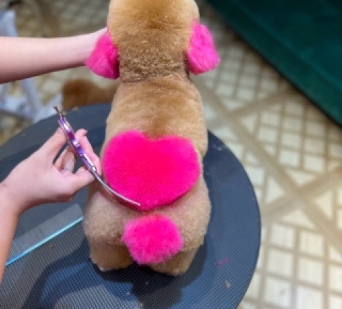 Khoá học chính cơ bản (Level C)