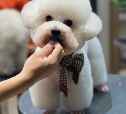 Khoá học nâng cao (Level B)