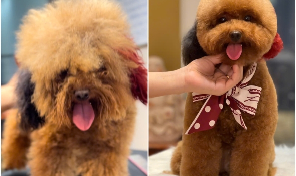 Thay đổi của mấy ẻm