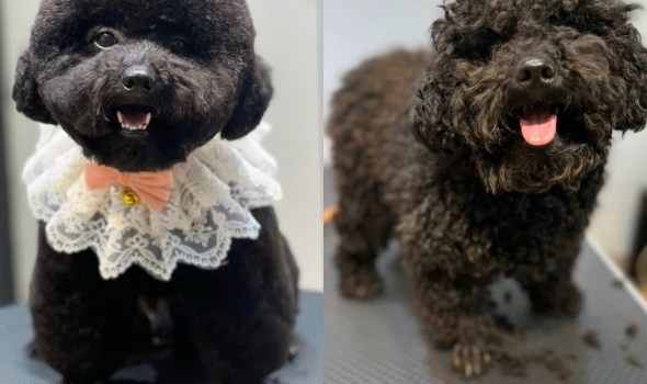 Thay đổi của mấy ẻm