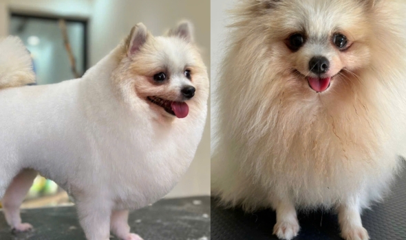 Thay đổi của mấy ẻm